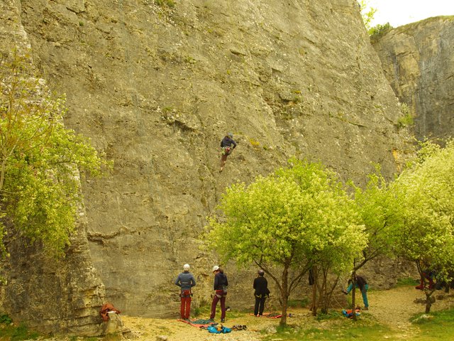 Grimpeur sur la grande falaise de Bourgogne encadrée d'arbres en fleurs, week-end adultes avril 2026