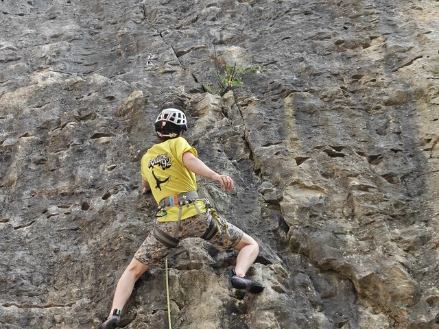 Jeune grimpeur en t-shirt jaune sur la falaise de Remigny, week-end jeunes juin 2026